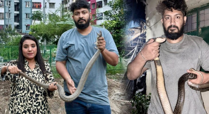 ঢাকার বাসাবাড়িতে বিষধর সাপের আতঙ্ক, সাড়ে তিন মাসে উদ্ধার ৩২১টি সাপ